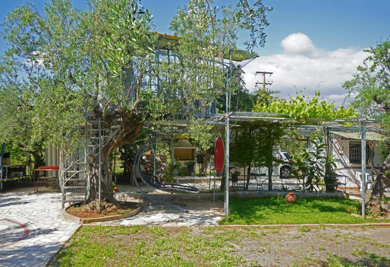 הוילה קלמאטה Veni Olive House מראה חיצוני תמונה