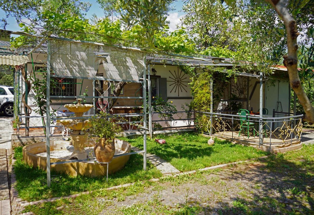 הוילה קלמאטה Veni Olive House מראה חיצוני תמונה